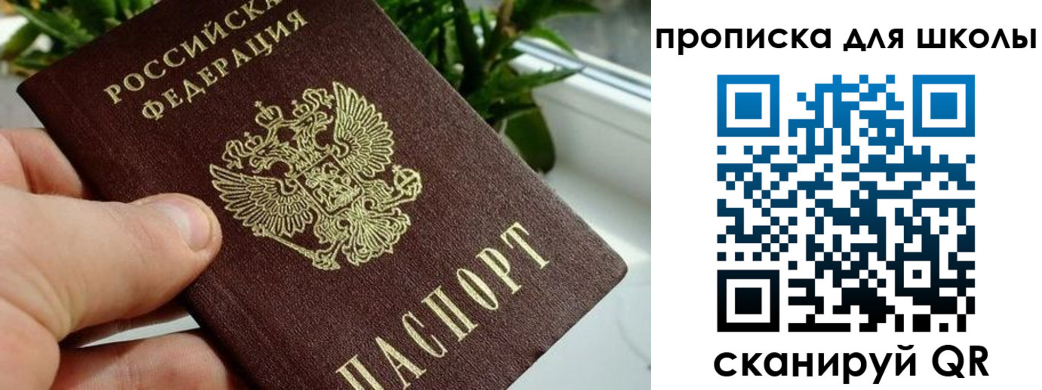 регистрация для дет. сада в Бронницах